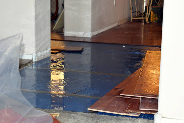 Professional Water Damage Restoration technician working in Coldwater, MS